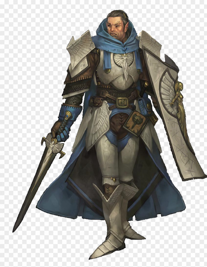 Elf Dungeons & Dragons Pathfinder Roleplaying Game Paladin Concept Art PNG