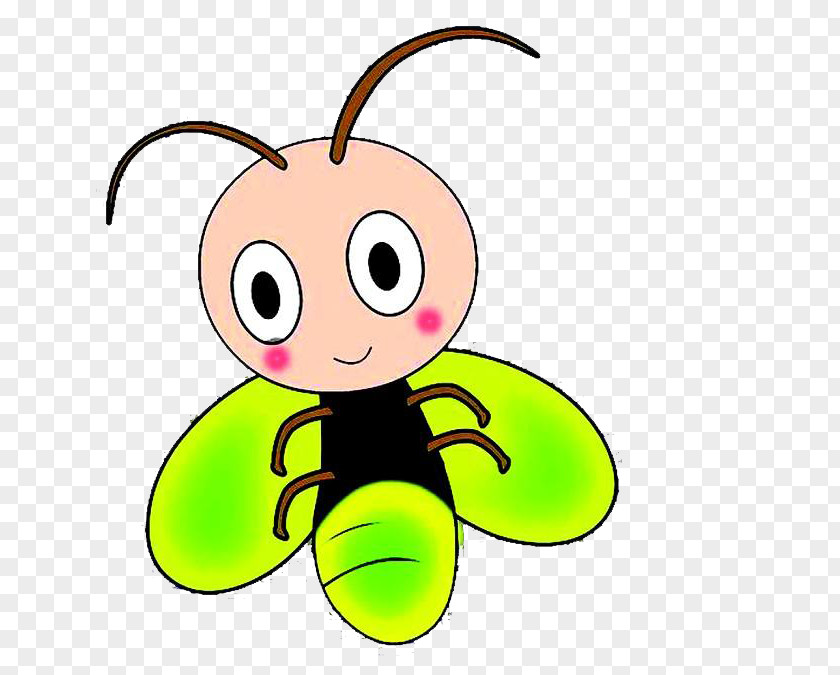 Green Firefly Cartoon Animation PNG