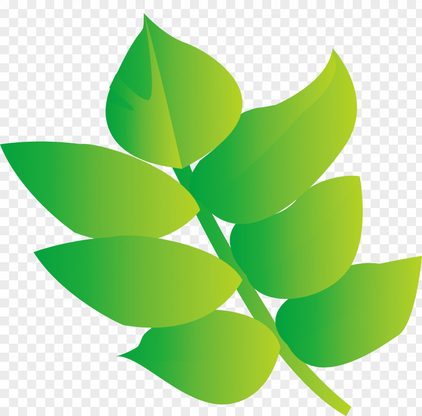 Green Leaf Plant Logo Flower PNG