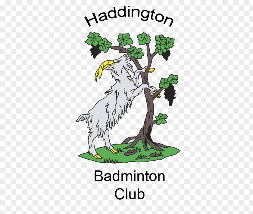 Haddington RFC Leisure Time Sports Rugby Union Beak PNG