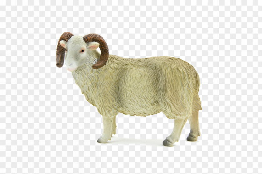 Sheep Ahuntz Child Even-toed Ungulate Artikel PNG