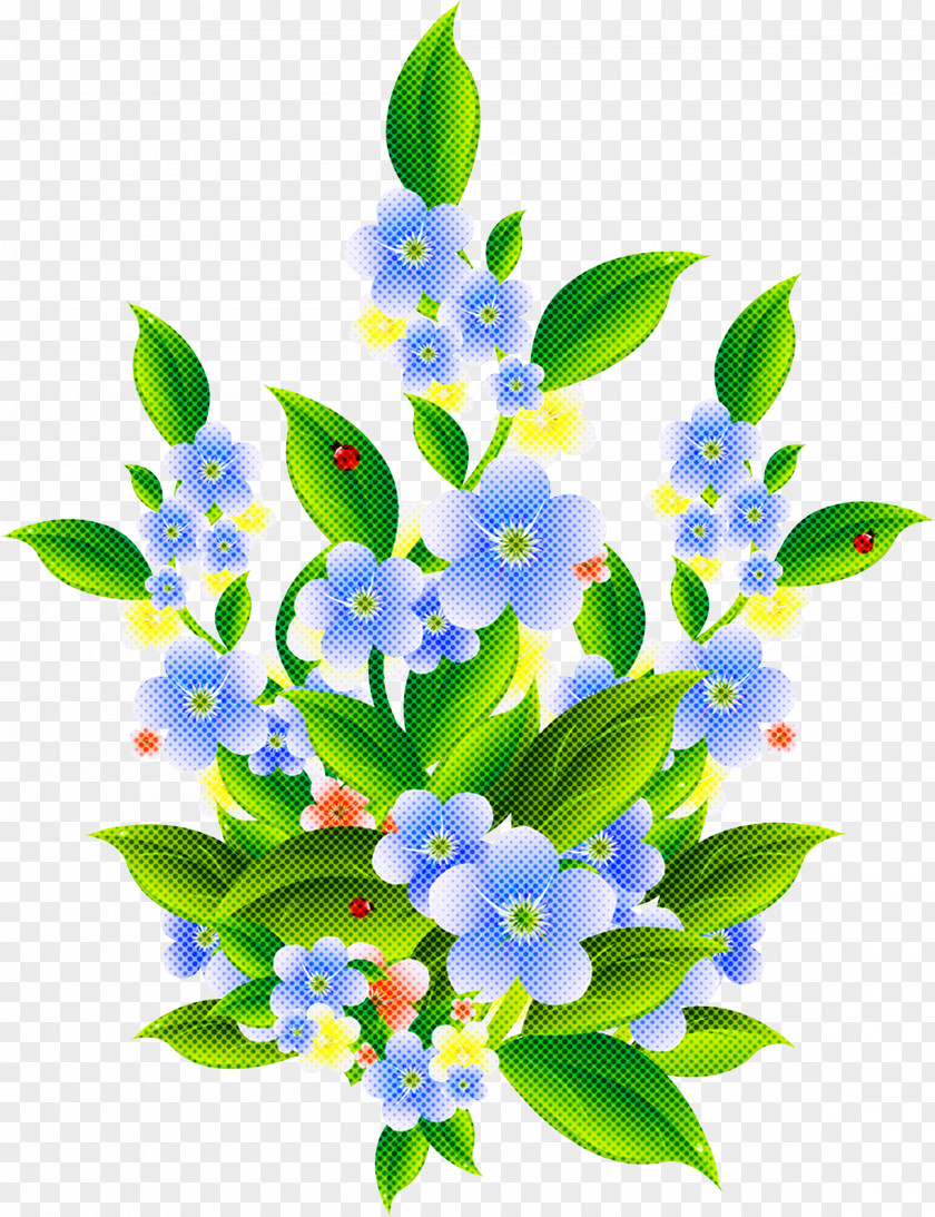 Bouquet Petal Flower Blue Plant Forget-me-not Flowering PNG