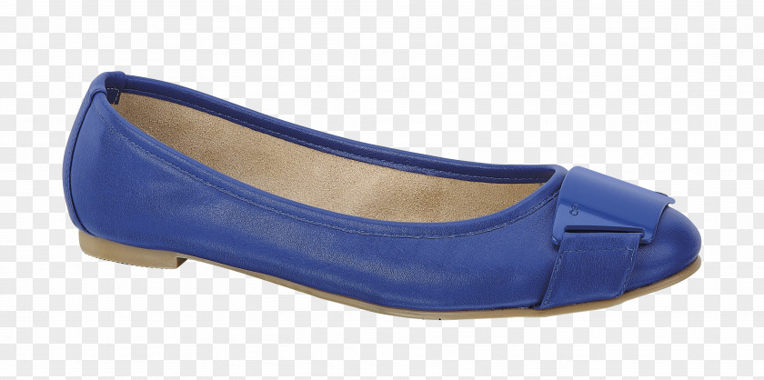 Design Ballet Flat Product PNG