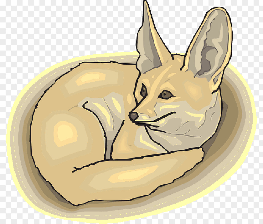 Fur Red Fox Arctic Fennec Whiskers PNG