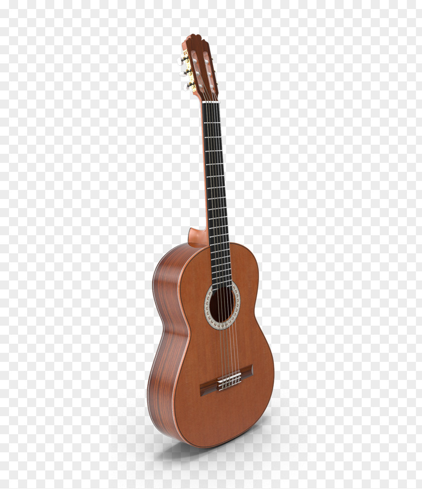 Jam Session Acoustic Guitar Cuatro Tiple Ukulele PNG
