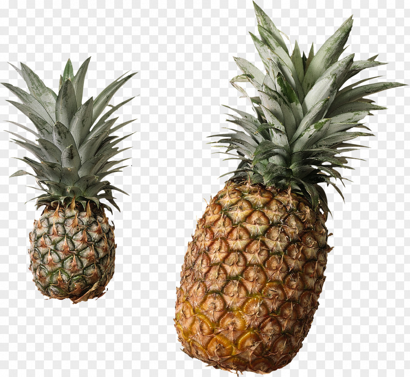 Pineapple Juice Canning Tin Can Fruit PNG