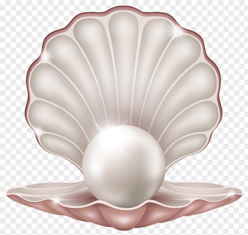 Beautiful Clam With Pearl Clipart Image Royalty-free Clip Art PNG