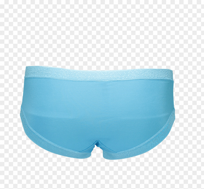 Blue Rose Swim Briefs Trunks Underpants PNG
