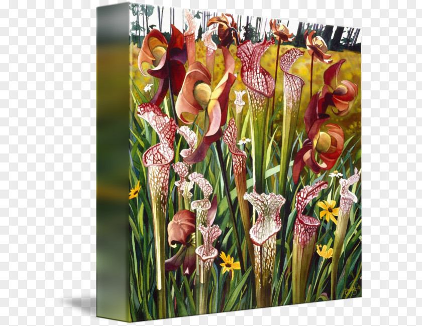 Gladiolus Floral Design Cut Flowers PNG