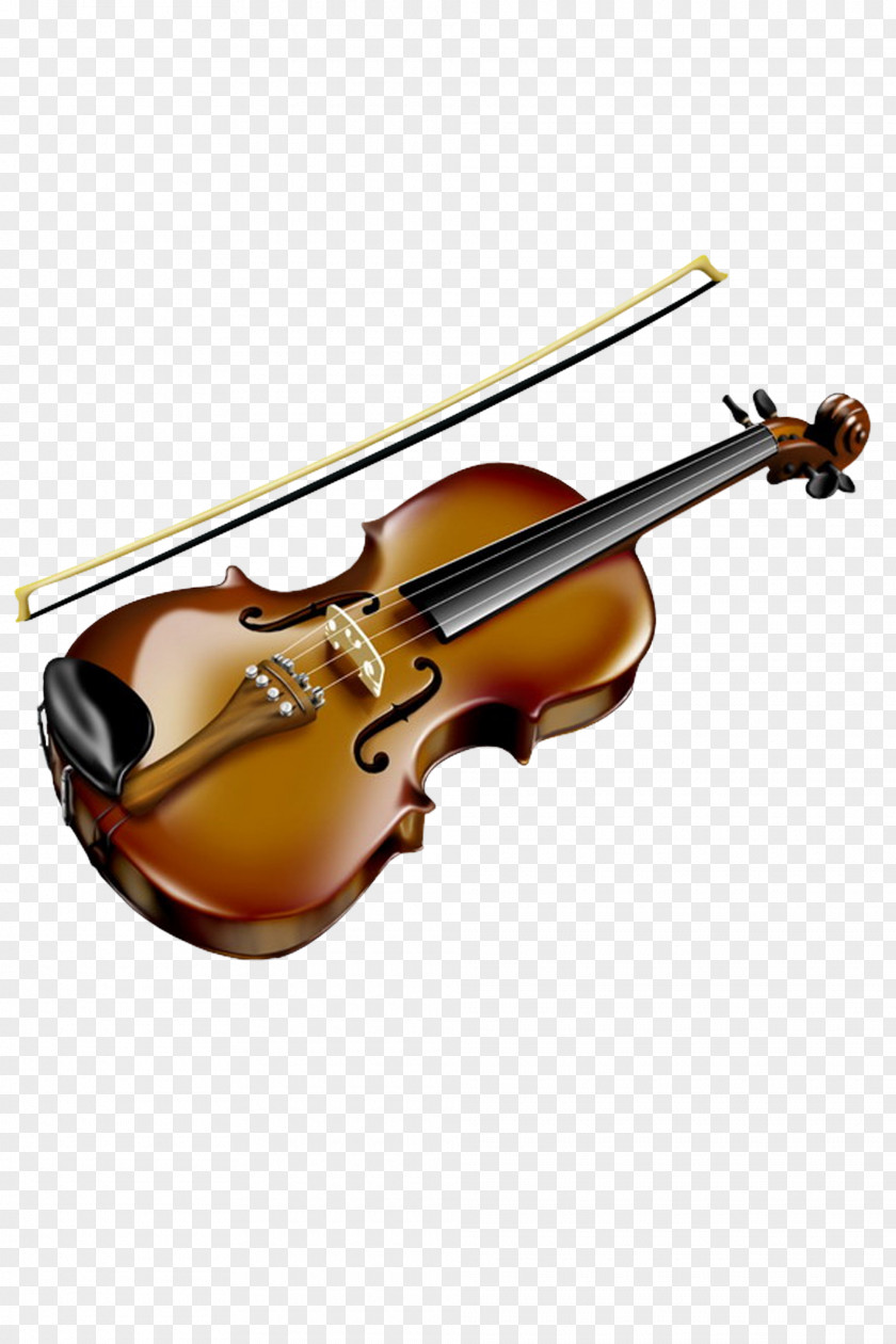 Violone Fiddle String Instrument Violin Viola Musical Family PNG