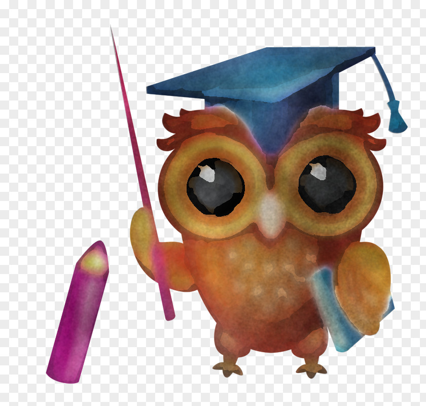 Owls Beak Birds Bird Of Prey Science PNG