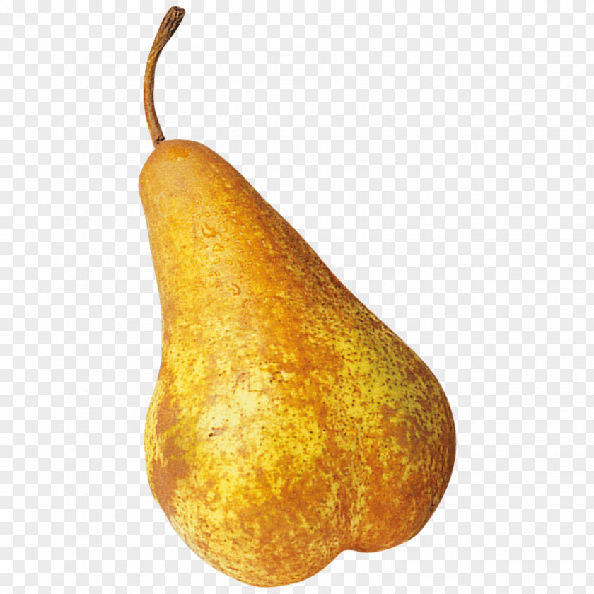 Pear Williams Abate Fetel REWE Group PNG