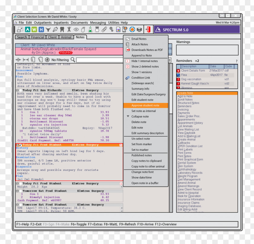 Professional Cv Screenshot Computer Program Line Font PNG