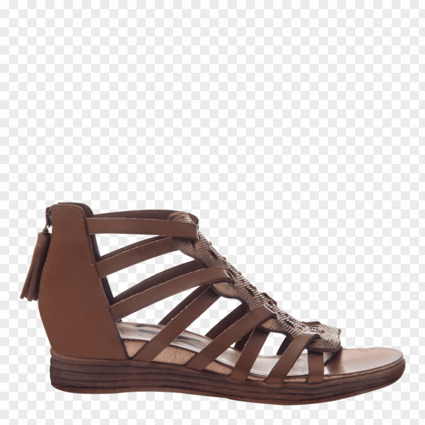 Sandal Wedge Platform Shoe Slide PNG