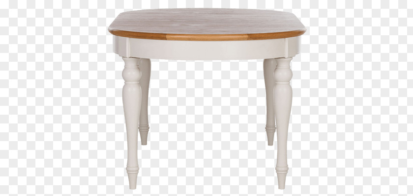 Four Legs Table Human Feces Angle PNG