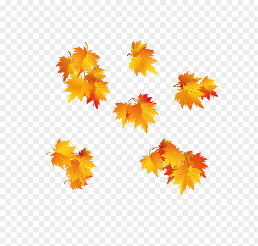 Gold Maple Leaf Autumn Clip Art PNG