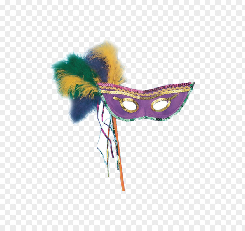 Mardi Gras Butterfly Insect Pollinator Wing Feather PNG