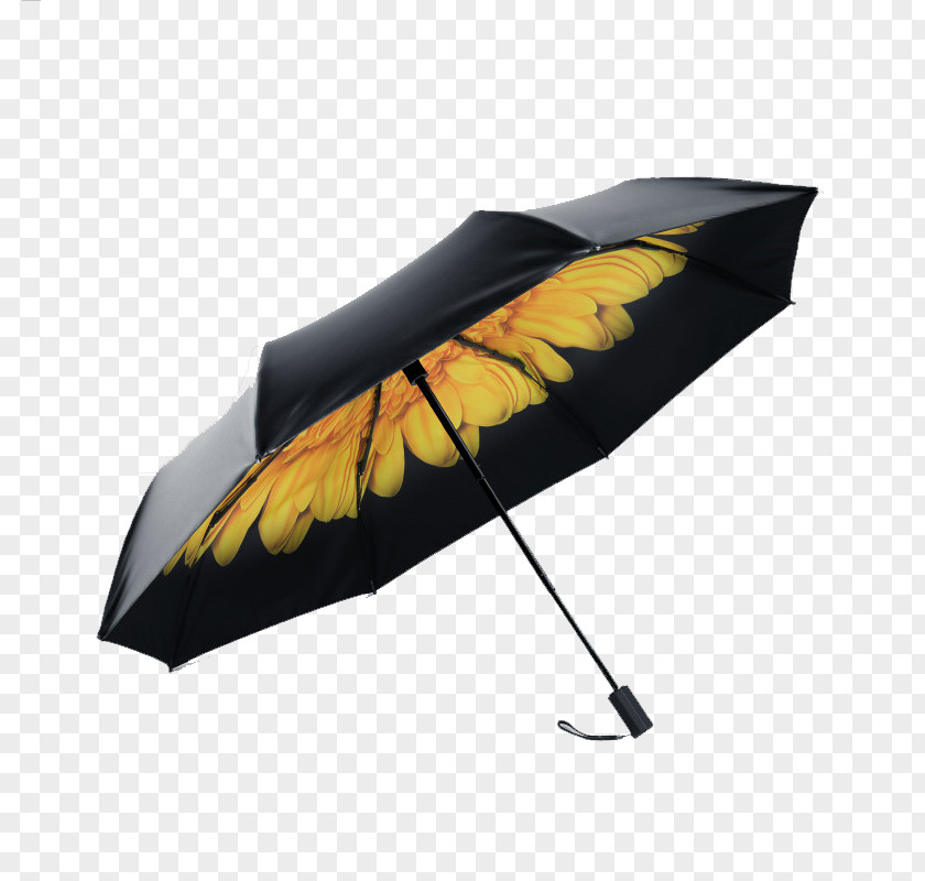 Persimmon Down Double Black Umbrella Parasol The Umbrellas Sun Protective Clothing Sunscreen PNG