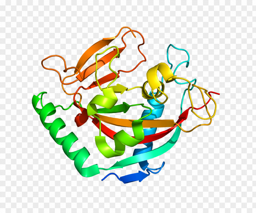 Protein Structure Gene PNG