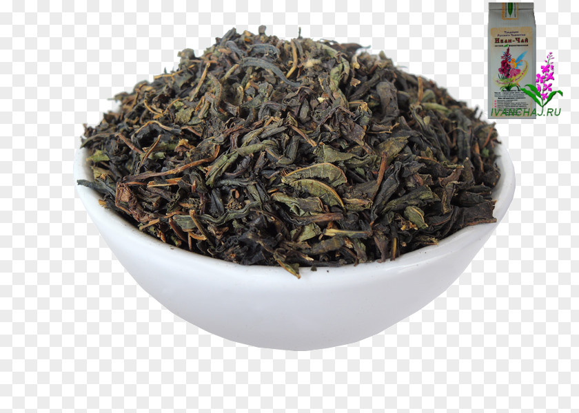 Tea Hōjicha Nilgiri Oolong Earl Grey PNG