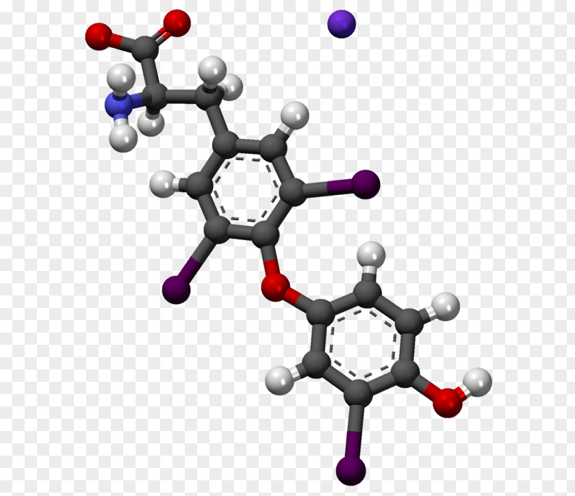 Apixaban Molecule Anticoagulant Factor X Chemistry PNG