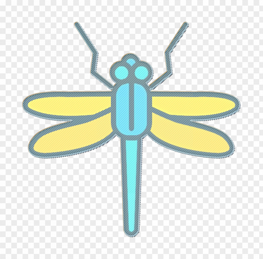 Insects Icon Insect Dragonfly PNG