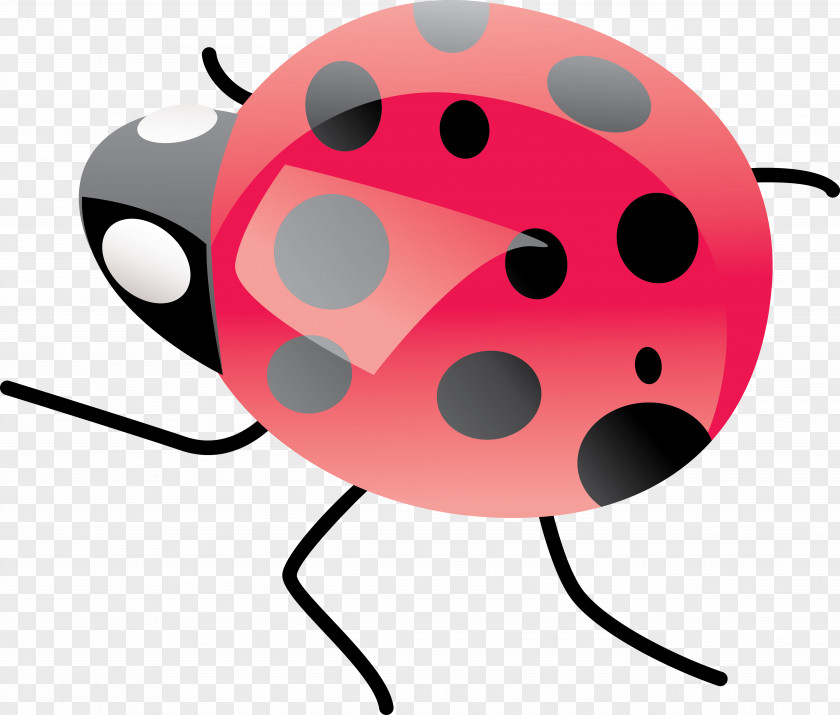 Ladybird Beetle Clip Art PNG