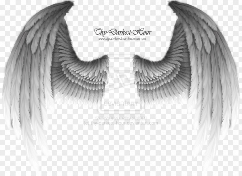 Wing Clip Art PNG