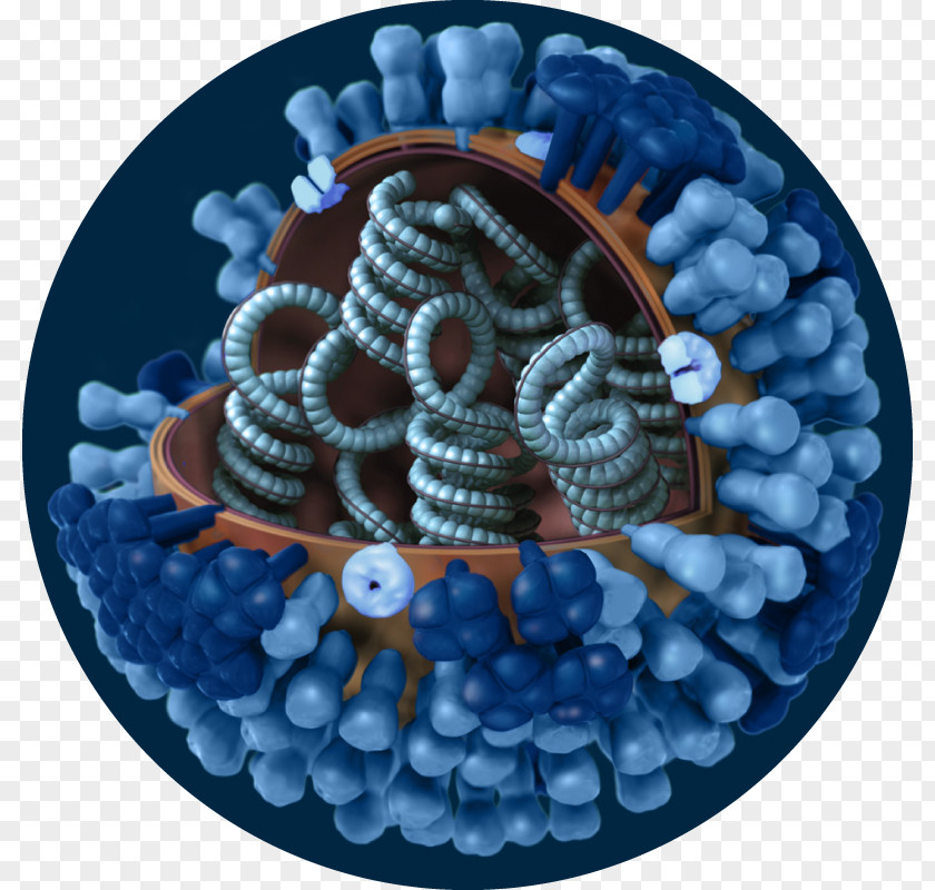 2009 Flu Pandemic Influenza A Virus Subtype H1N1 H3N2 Swine PNG