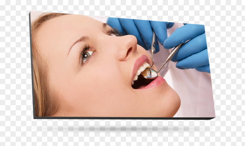 Dental Health Dentistry Tooth Medicine Orthodontics PNG