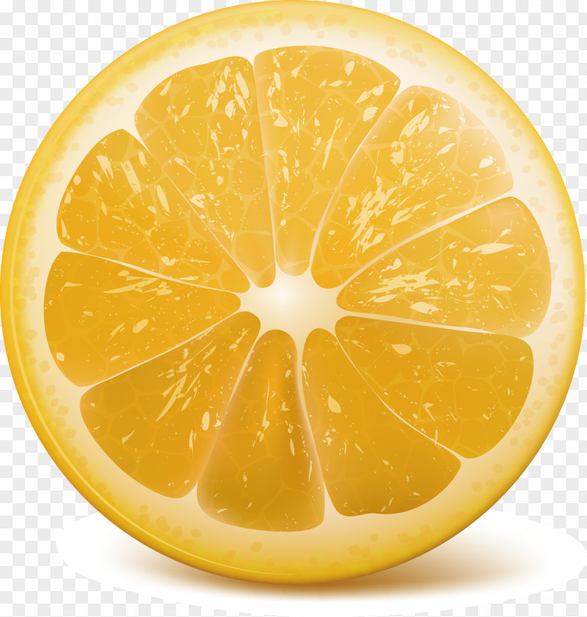 Lemon Slice Decoration Orange Clip Art PNG