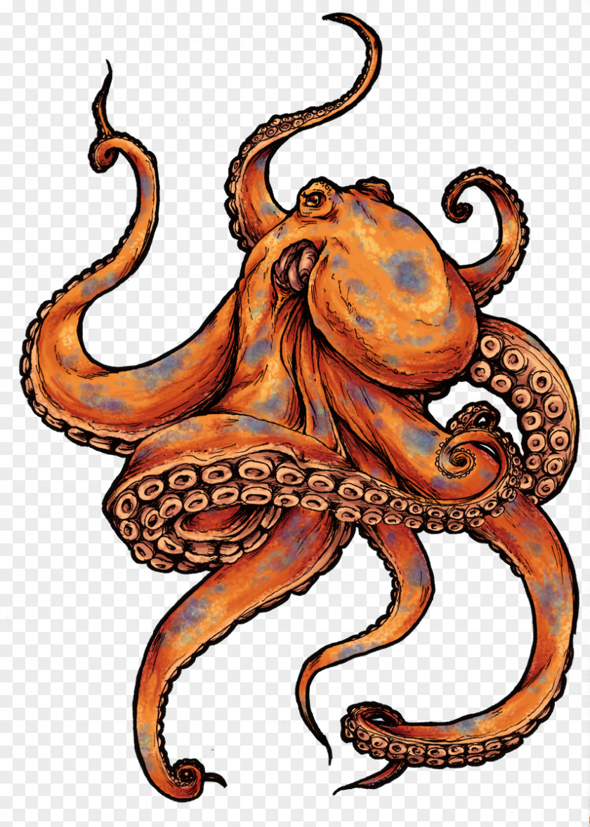 Octopus Picture Sleeve Tattoo Black-and-gray Drawing PNG