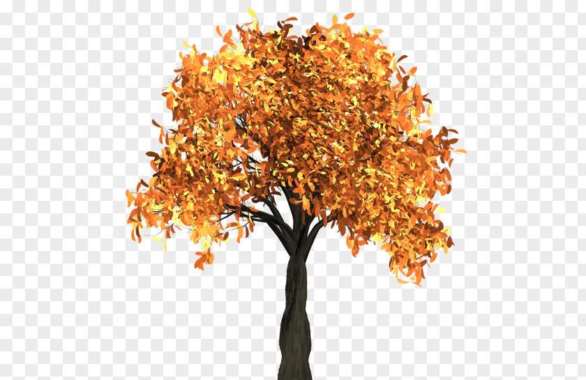 Orange Tree Autumn Leaf Color Clip Art PNG