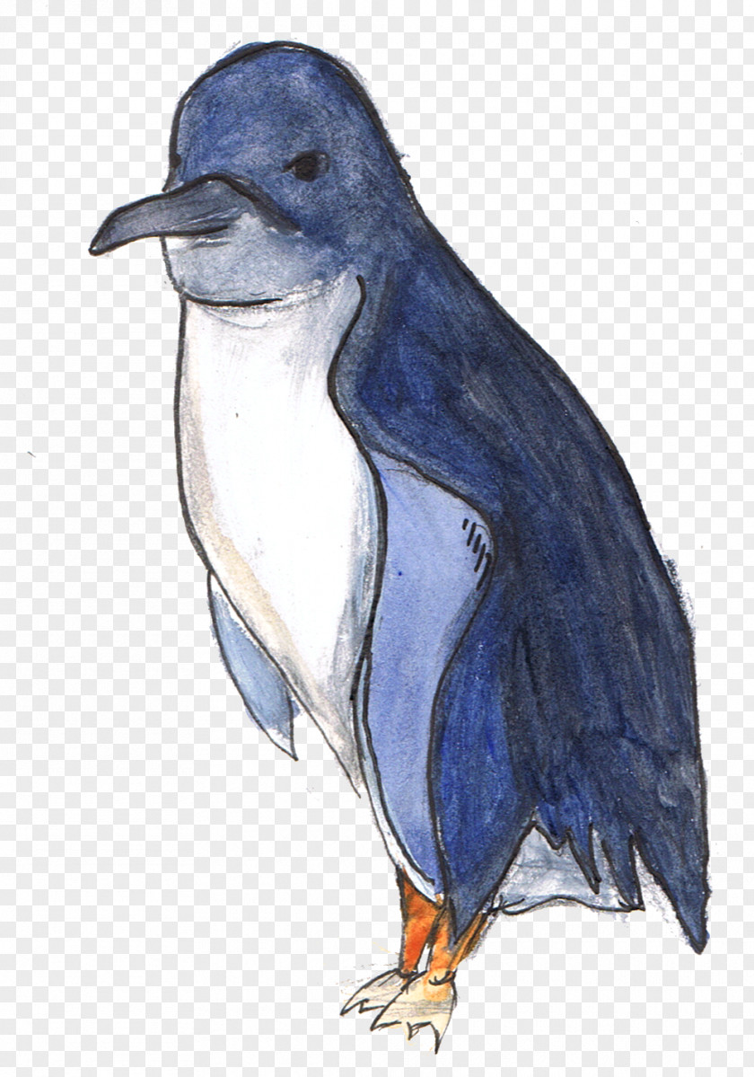 Penguin Little Animal Alphabet Adventures PNG