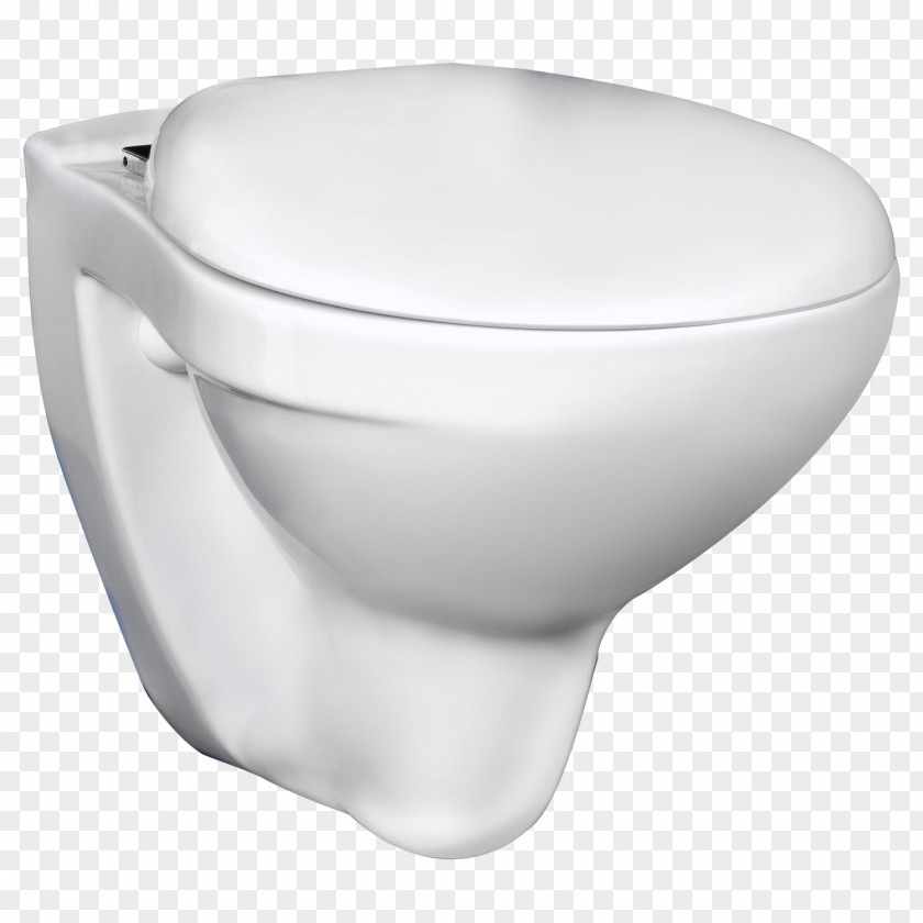 Toilet Sink Roca Ceramic Bidet PNG