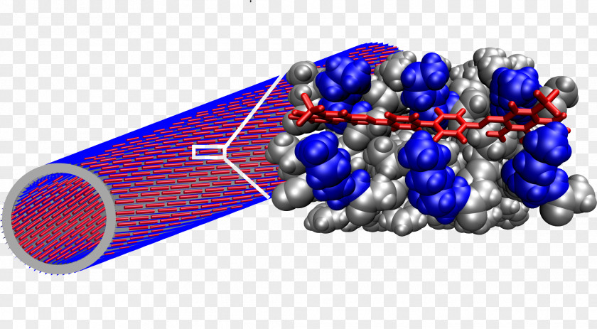 Binding Amyloid Beta Congo Red Fibril Chemistry PNG