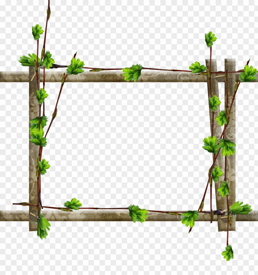 Cute Frame Picture Frames Tree Window Wood Branch PNG
