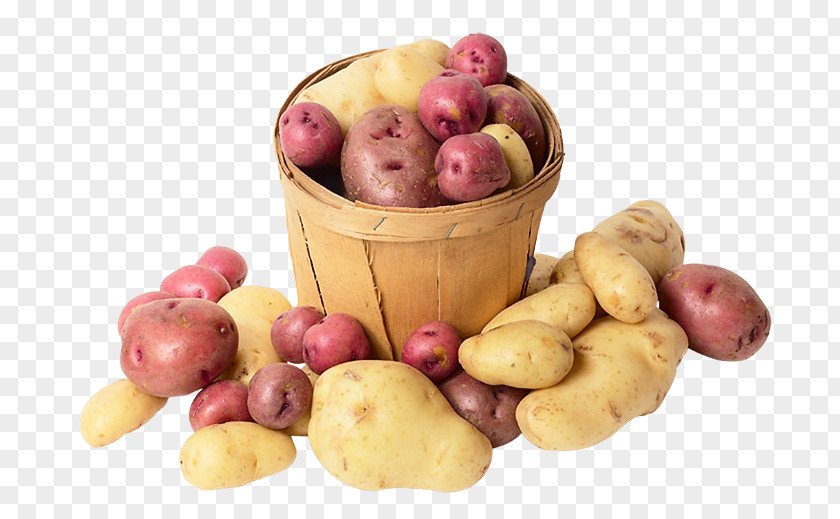 Fingerling Potato Yukon Gold Competition Superfood PNG