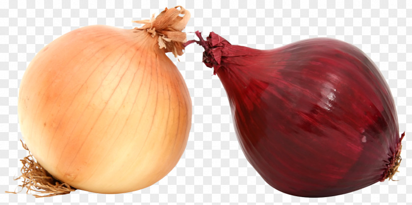 Fresh Onions Yellow Onion Red Shallot PNG