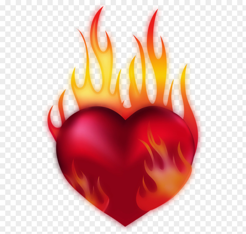 Heart Fire Clip Art PNG