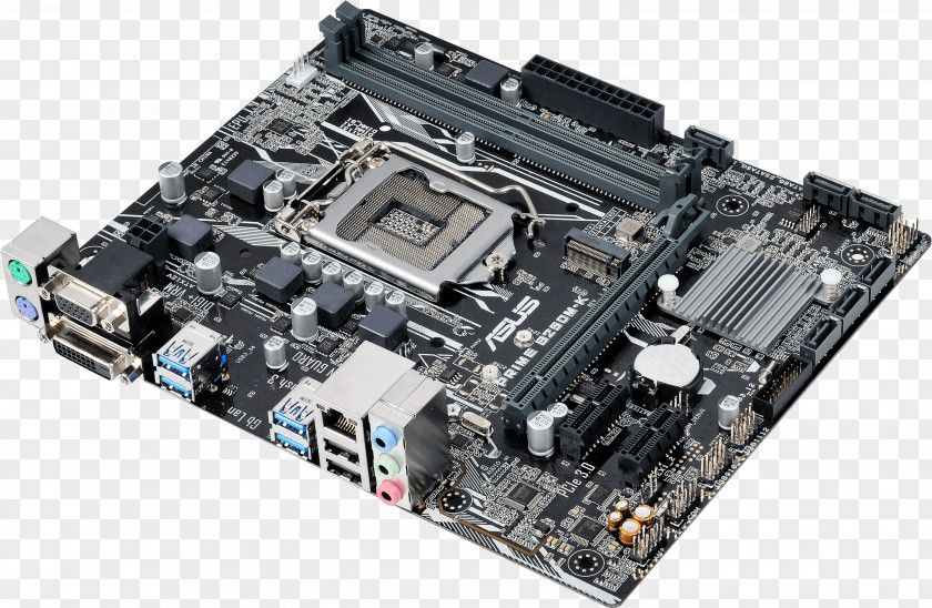 Intel LGA 1151 MicroATX ASUS PRIME B250M-K Motherboard PNG