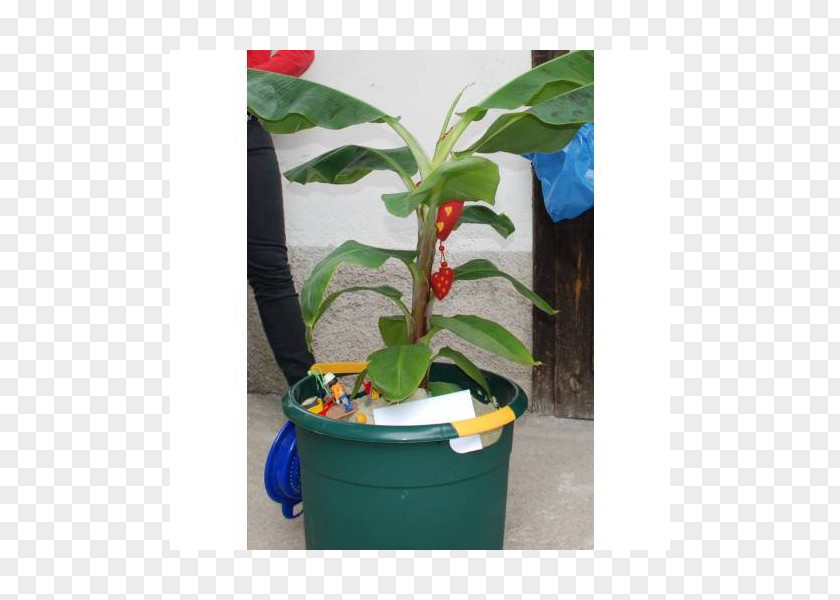 Leaf Flowerpot Plastic Houseplant Herb PNG