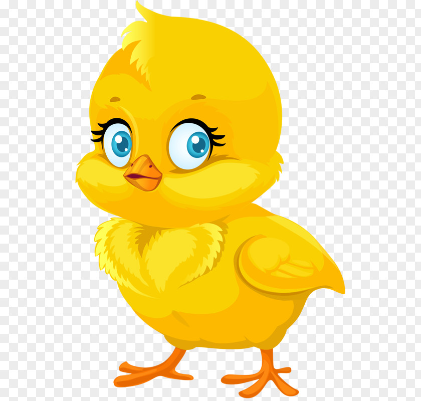Little Yellow Duck Chicken Cartoon Royalty-free Clip Art PNG