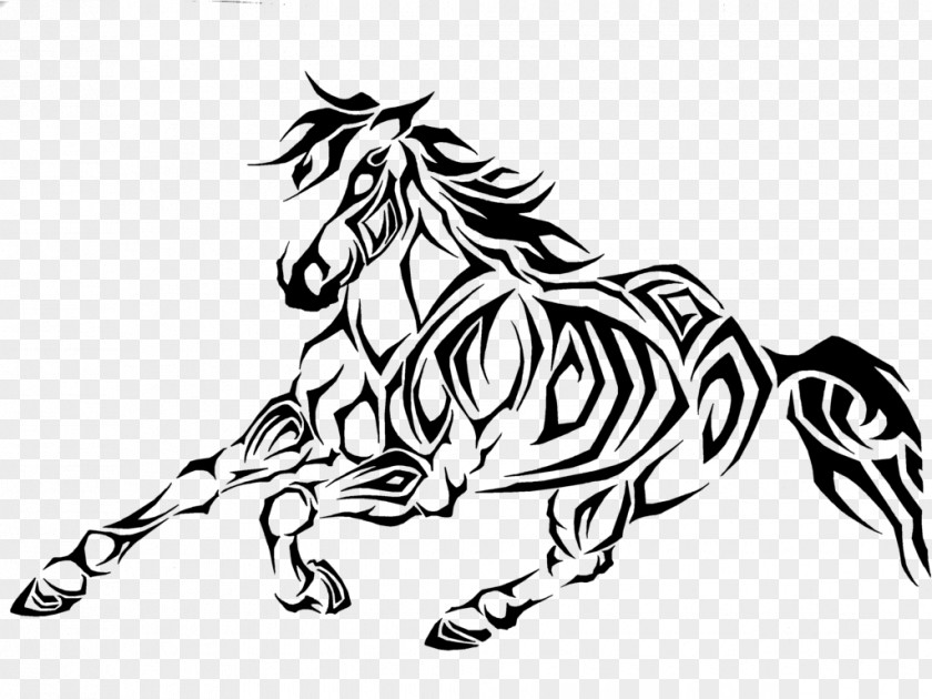 Mustang Barrel Racing Drawing Zebra Clip Art PNG