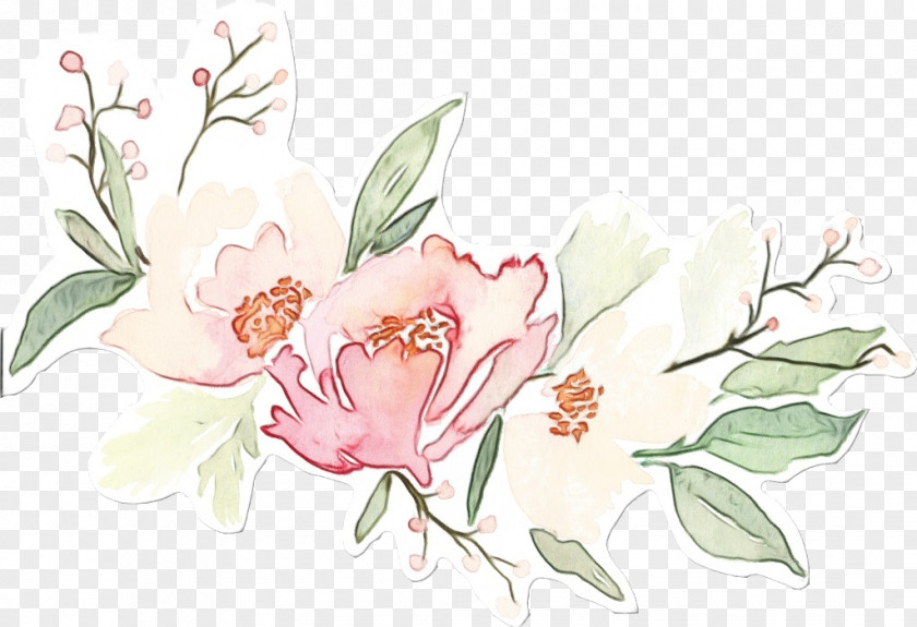 Watercolor Paint Rose Family Pink Flowers PNG