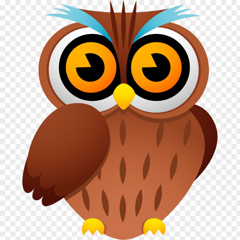 Cute Owl Bird Cartoon Drawing Clip Art PNG