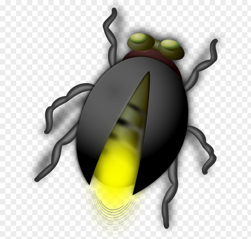Firefly Clip Art Vector Graphics Openclipart Illustration PNG