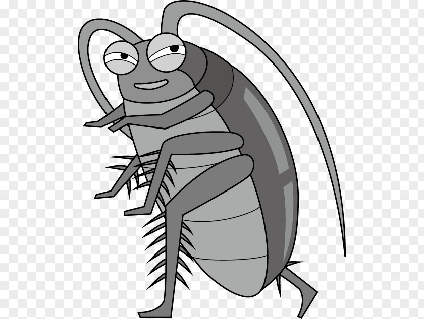 Insect Blattodea Roach Motel Clip Art PNG