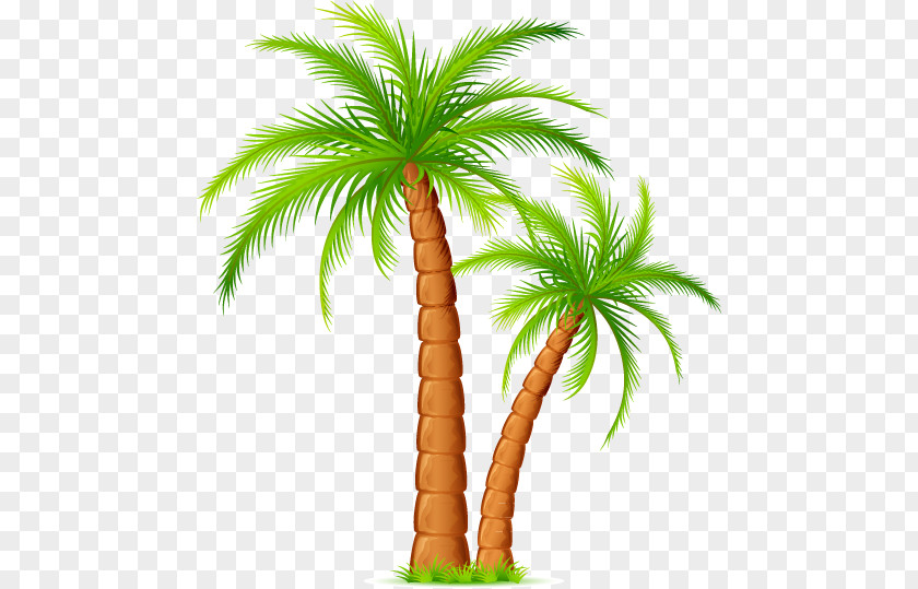 Love Story Arecaceae Drawing Photography PNG