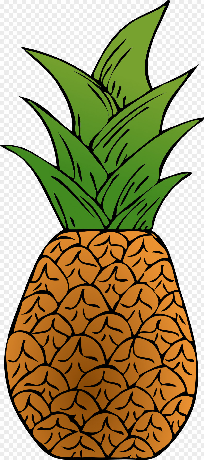Pineapple Fruit Salad Clip Art PNG